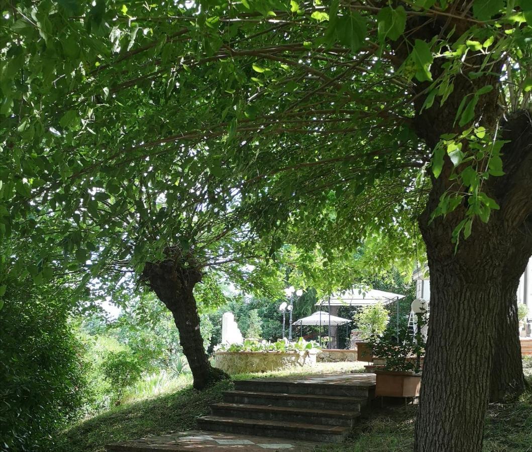Maison Tuscany Bed&Breakfast Sinalunga Zewnętrze zdjęcie