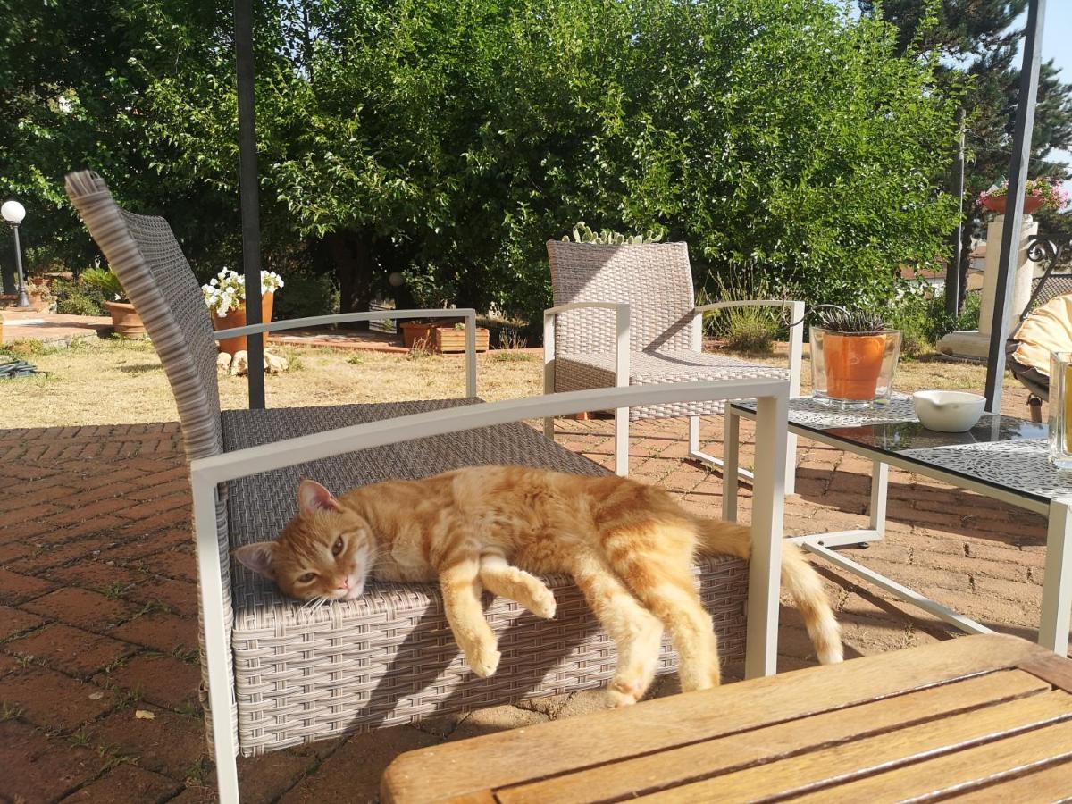 Maison Tuscany Bed&Breakfast Sinalunga Zewnętrze zdjęcie