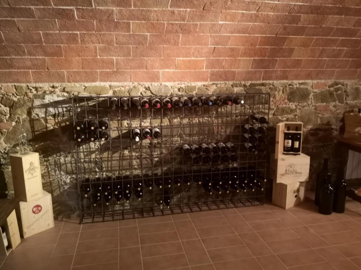 Maison Tuscany Bed&Breakfast Sinalunga Zewnętrze zdjęcie